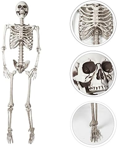 Toyvian 1pc umjetni model skeleta simulirani kostur Prank Prop Halloween Prop
