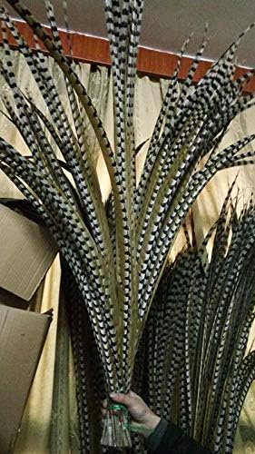 Xucus s 50kom savršeno 100-110 cm/40-44 inča prirodni bakar pileće perje dekoracija Uradi sam kolekciju scenske