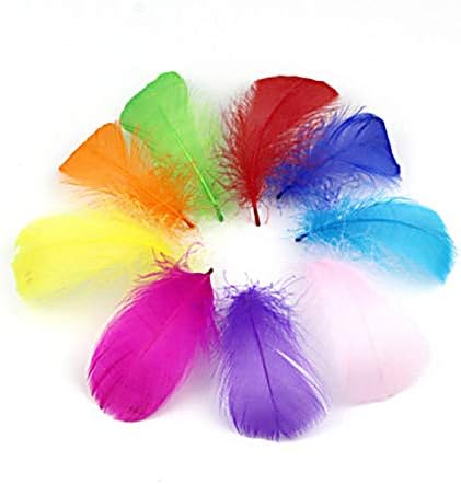 100kom perja, 2-5inch perje u više boja za zanate, koristi se za zanatske projekte i festivale, Vjenčanja,