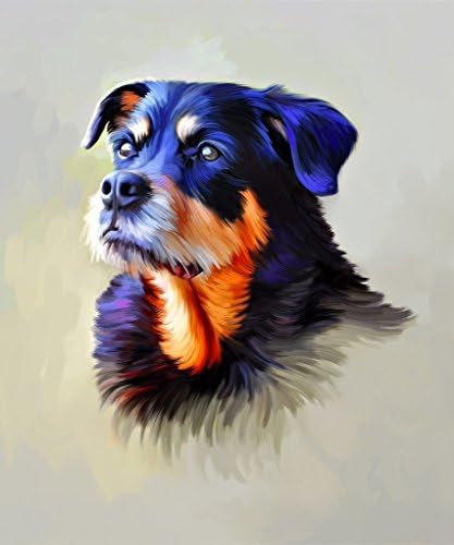 Božićni poklon po mjeri portret pas slika-ulje slikarstvo ručno slikano Portretno slikarstvo-fotografija