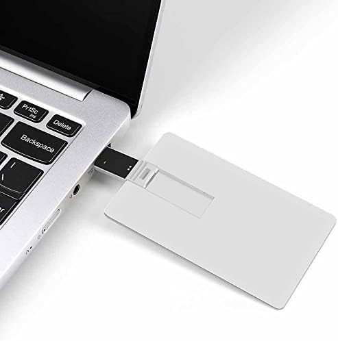 Zvijer mod na USB memorijskoj stick posluzivačke bljeskalice sa karticom sa kreditnom karticom