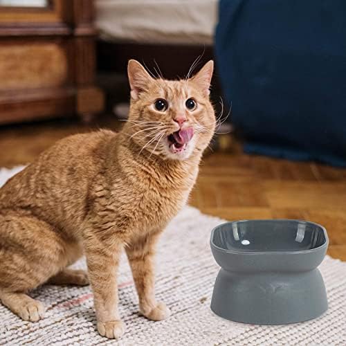 Leefasy je podigla Cat Bowl Cat Bowl ulagač reverzibilnog kućnog ljubičasta posuda za kuglu