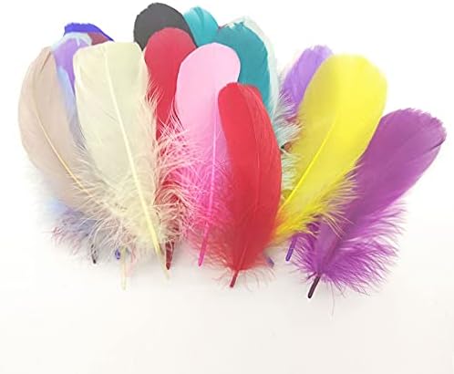 100pcs/Lot šareno perje za zabavu Craft prirodno gusko pero za DIY Bijelo vjenčano perje za izradu