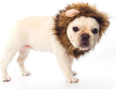 DOGLOVEIT Lion Mane za mačke Appreal, pet Costume Lion perika za psa mačka Halloween pet prerušiti