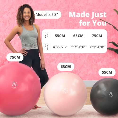 Greater Goods profesionalni komplet za jogu i fitnes-65 cm set lopte za vježbanje i trake otpora za vježbanje,