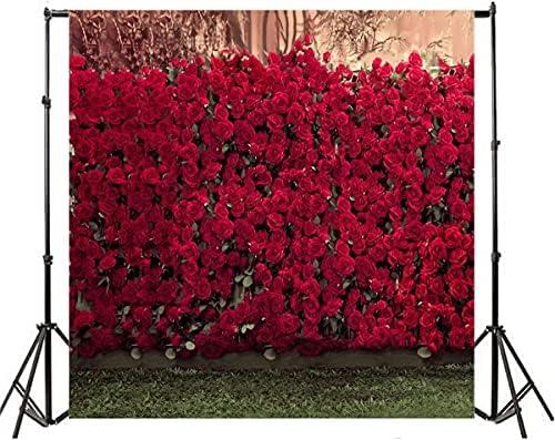 Aofoto 10x10ft romantične ruže pozadina Vjenčana fotografija pozadina vrtno cvijeće ljubitelji par djevojka nevjesta