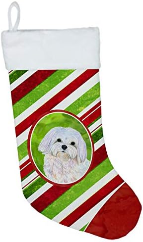 Caroline's blaga SS4551-CS Maltese Candy Cane Holiday Božićni božićni čarapa, Kamin Viseći čarape