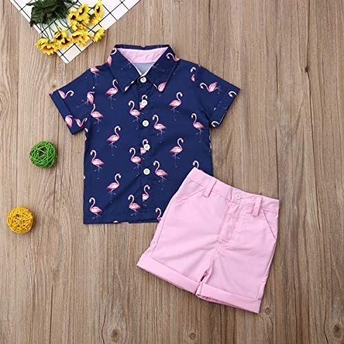 Toddler Baby Boy Flamingo kratki rukav dugme down Shirt & amp ;Casual Shorts Set ljetne odjeće 1-6 godina Odjeća