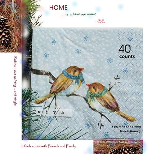 40-CT 13x13 Bird Sapkins | Decoupage salvete | Dekorativni papirni salvete za dekupaž | Fall Papir Sapkins