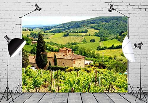 BELECO 5x3ft tkanina italijanski vinograd fotografija pozadina Toskana selo Farm krajolik Kamena kuća zelena