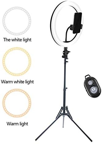 WTL 10Selfie prstenasto svjetlo sa postoljem za stol/podnim stativom(15,7 -61,8 za šminkanje/live