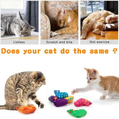 8-komad mačkasta igračka - prirodne tačke Catneip, igračke za interaktivne žvakaće mačke, zabavne mačiće igračke