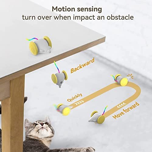 Fozicus interaktivne igračke za mačke za mačke u zatvorenom prostoru, automatska igračka za mačke