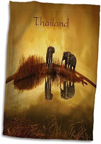 3D slika ruža slonova na Tajlandu reflektirala je u ručniku za vodu, 15 x 22