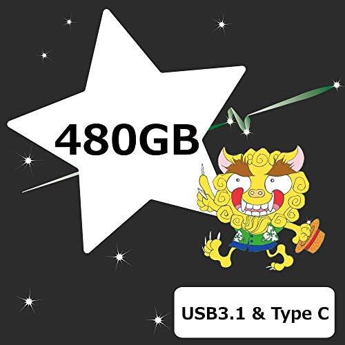 Sirius DSDE-S48 prijenosni SSD, 480 GB, srebrna boja, vanjski SSD, USB 3.1, Tip C, dvostruki Model, harmonika,