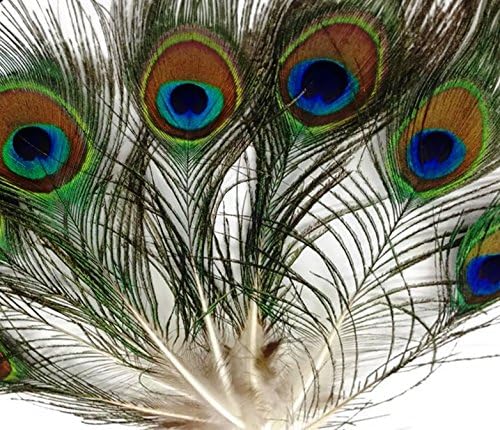 Mini Perje Paunovih Očiju, Prirodno Kompletno Pero, 4-10, Po 25