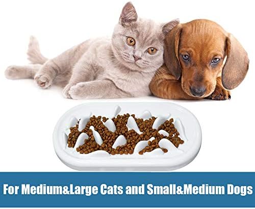 2 paketa ploča za posude za mačke sa sporom hranilicom, Hicomie pet Fun Interaktivna posuda za mačke s sporom