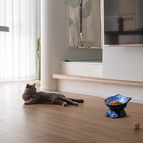 Nihow nagnute uzdignute posude za mačke: 5-inčna keramička podignuta posuda za hranu za mačke za zaštitu
