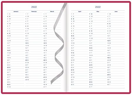 Letts Verona Tjedni planer, 12 mjeseci, januar do decembra, 2022., sedmicu-pregled, 8,25 x 5.625, ružičasta