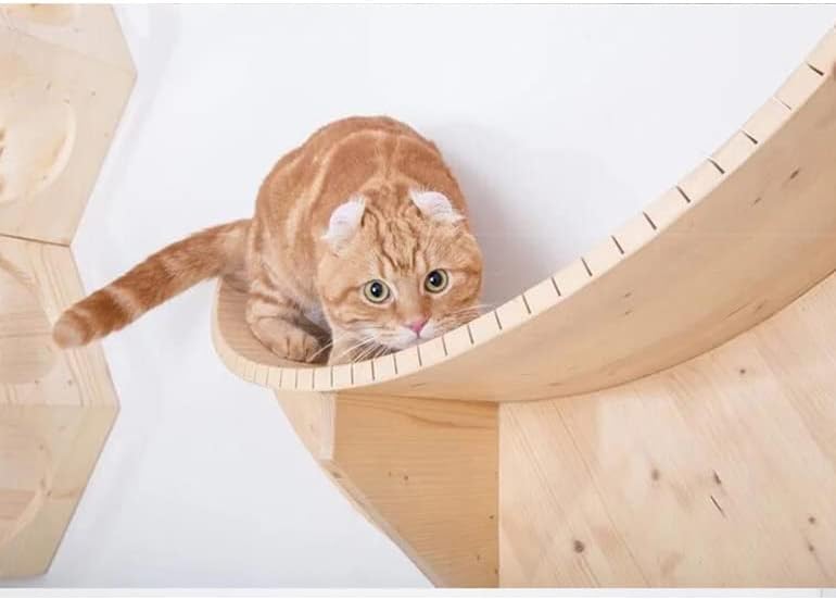 Dhdm zidna platforma za skakanje od punog drveta za mačke penjački okvir za mačje drvo zid za mačke rastavljanje