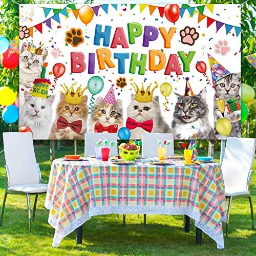 Mačka Sretan rođendan pozadina fotografija mačića pozadina Pet Paw mačka Tema Party Photo pozadina