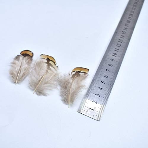20-100kom prirodno perje fazana za odjeću DIY paunovo perje za izradu nakita dekor pileće pero-100 kom - Zamihalaa