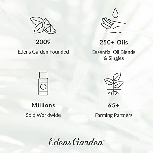 Edens Garden Relaxanation Esencijalna ulja Synergy Blund, čist terapijski razred 10 ml