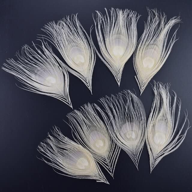 10kom / Lot bijeli paun pero oko 10 - 15cm pravo paunovo perje za izradu nakita kreiranje svadbena