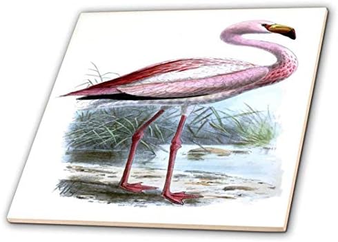 3drose Puna Flamingo - keramička pločica, 4-inč