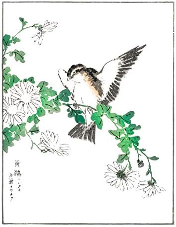 Japanese Botanical Prints by Ink Inc. / Japanski minimalistički stil / cvijeće i ptice / Set od 6 8x10