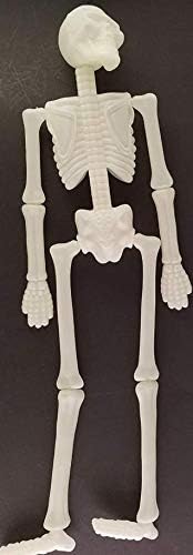 Halloween Glow u tamnom ljudskom kosturu viseći artikulirajte plastiku 18 H x 8 w x 2 d
