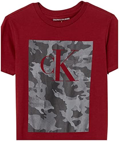 Calvin Klein Boys ' Kratki Rukav Blok Logo Posada Vrat Tee Shirt