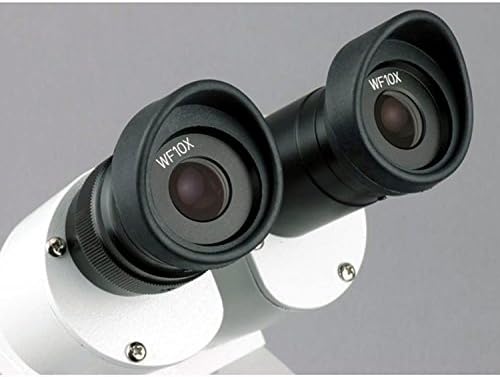 Amscope Se306r-P-E Digitalni Dvogledni Stereo mikroskop, okulari Wf10x, uvećanje 20X i 40X,