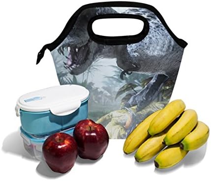 HEOEH veća životinja Dino Dinosaurus torba za ručak Cooler Tote Bag izolovana kutija za ručak sa patentnim