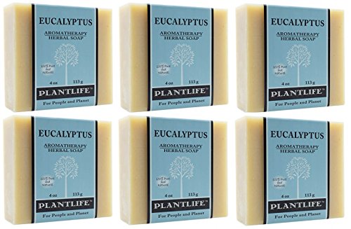 Plantlife Eucalyptus Bar sapun-hidratantni i umirujući sapun za vašu kožu-ručno izrađen od