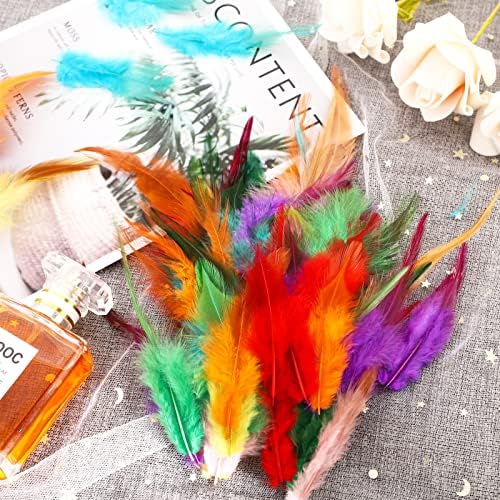 HaiMay 200 komada šareno perje za zanatske svadbene dekoracije za kućne zabave, 3-6 inča sedlo Hackle Rooster