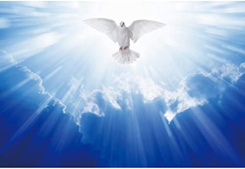 OERJU 15x10ft Isus Krist Sveto svjetlo zrači fotografijom pozadina Bog blagoslov bijeli golub plavo nebo nebo Messenger vjerovanje raj religijska pozadina fotografija kršćanski portret fotošop rekviziti
