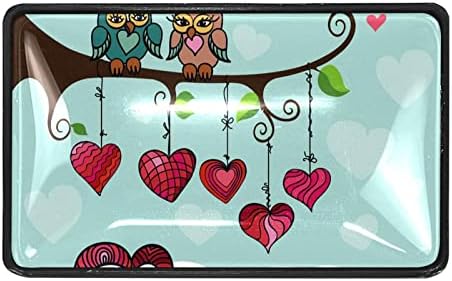 Guerotkr 4 kom, pravokutni orlovke, ručke ormarića, ručice, ručke za ormare i ladice, Valentinovo, Owl Love