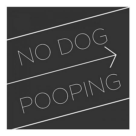 CGsignLab | Nijedan pas Pooping -Basic crni prozor Cling | 8 x8