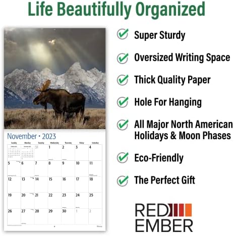 Red Ember Moose 2023 Mesenski zidni kalendar | 12 x 24 otvoren | Gust i čvrst papir | Podijnji | Životinje veličanstveno