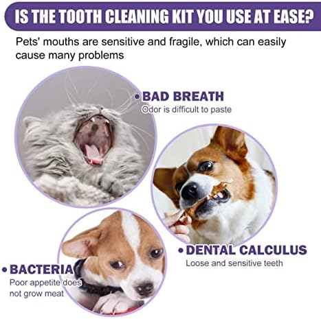 Zhang ku Duipi za čišćenje zuba za pse i mačke, uklonite loš dah uklanjanjem plaketa i tartar-a nakupljača za
