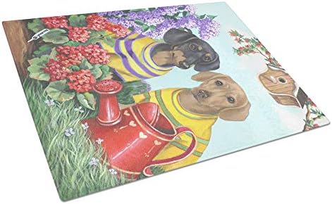 Caroline's Treasures PPP3080LCB Dachshund Blooms staklena ploča za sečenje velika, dekorativna