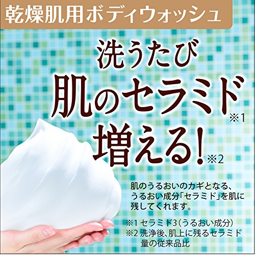 Japan zdravlje i lična njega - CareCera prisilna Vlažnost pranje tijela 450mL FoamAF27