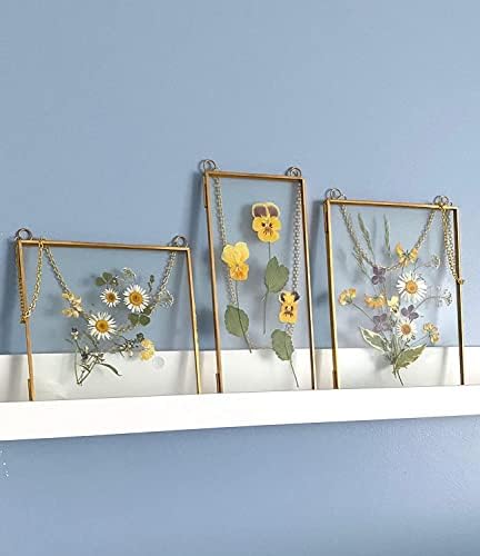 Dvostruki stakleni okvir za prešano cvijeće, list i umjetničko djelo - set 3 visećih okvira za slike, 4x9 plutajući