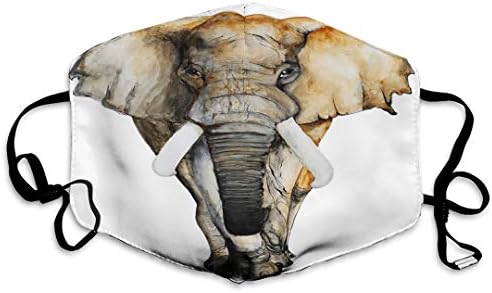 XUNULYN DEKORACIJA ZA UKUPURSKOG DEKORACIJA ANTI-prašine Vodeni bok nacrtani slon Bijela brošureInVitacijsko