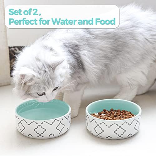 MSBC keramičke posude za mačke, slatki Set za hranu za mačke i vodu, osnovna posuda za pseće mačke,