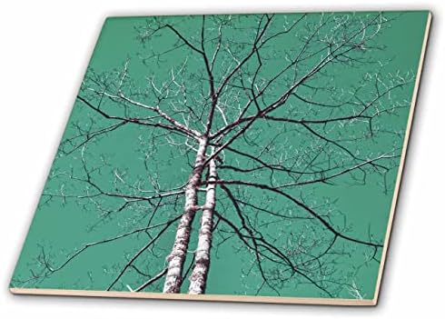 3drose infracrvena fotografija drveta sa mnogo grana i plavo-zelenim nebom-pločicama