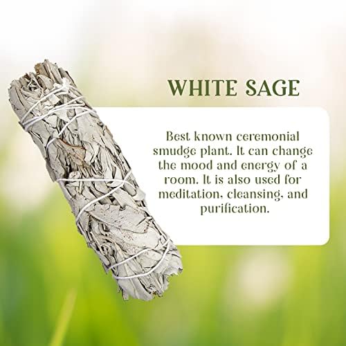 Bulk White Sage Shudge štapovi | Veleprodaja organskih kadulja | Burn za čišćenje, mrlje, uklanjanje
