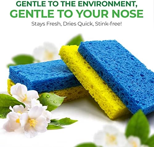 Airnex biorazgradivi celulozni komprimirani spužvi - pakovanje 24 kuhinjske spužve za čišćenje -