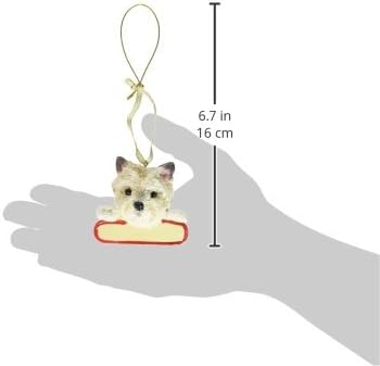 E & S Pets Cairn Terrier Ornament Santa's Pals sa personaliziranim tablicama naziva Veliki poklon